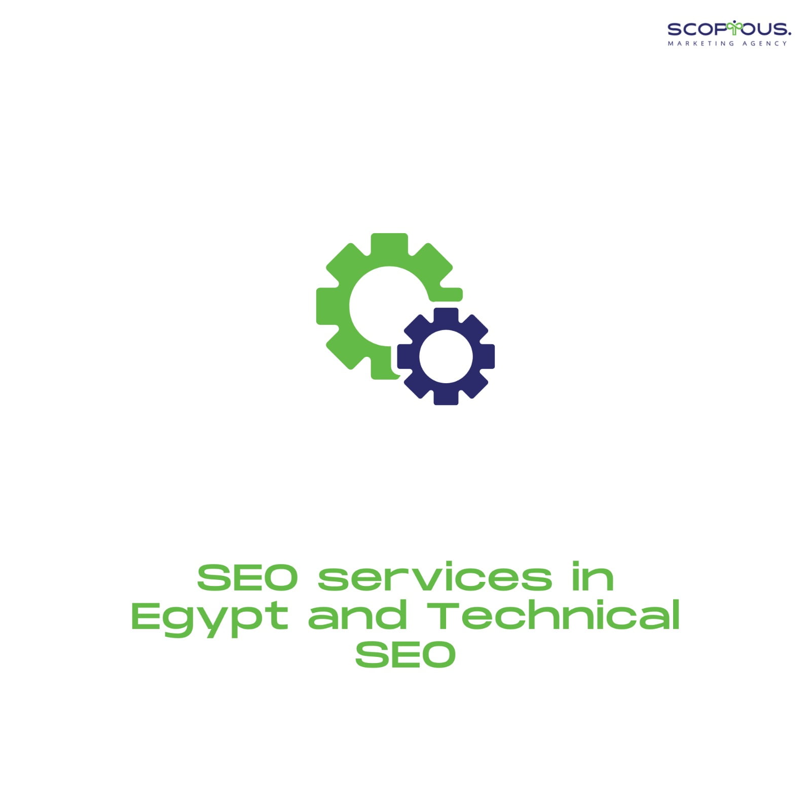 SEO services in Egypt